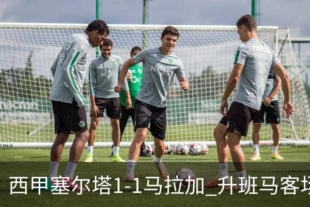 西甲塞尔塔1-1马拉加 升班马客场顽强逼平保级对手